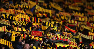 For the latest news on watford fc, including scores, fixtures, results, form guide & league position, visit the official website of the premier league. Watford Are The Club That Embraced The Chaos Football365