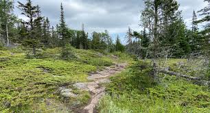 Image result for Marlin Green 2007 GM