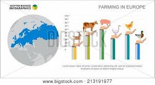 Six Columns Bar Chart Vector Photo Free Trial Bigstock