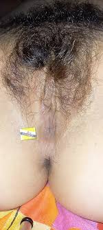 Brunei Hairy Pussy: Amateur Porn | xHamster