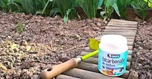 Aidez Votre Jardin Avec Du Bicarbonate De Soude Trucs Et Astuces Jardinage Pelouse Et Jardin Desherbant Maison