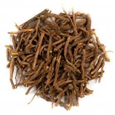 Image result for Cryptolepis