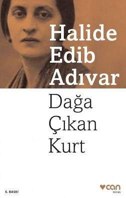 Halide Edib Adıvar - Dağa Çıkan Kurt, yapay zekayla üretilmiş