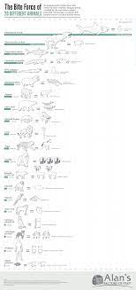 Clearly the human jawbone cannot bite through a thicker bone than itself, because it would break itself first. The Bite Force Of Different Animals