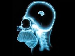 RÃ©sultat de recherche d'images pour "cerveau trop actifs humour"