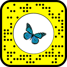 Snap To Unlock Snapchat Snapchat Filters Blue Butterfly Butterfly