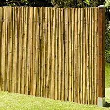 23,99 € 21,99 €* ab 0,00 € versand. Suchergebnis Auf Amazon De Fur Sichtschutz Fur Den Garten Bambus Sichtschutz Gartenmobel Zubehor Garten