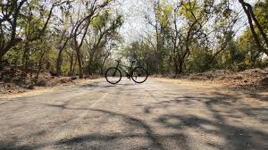 CYCLING IN BORIVALI NATIONAL PARK ...