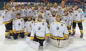 They are defrosted and dried in refrigerator, dusted with baking powder before searing them with mixture of butter and olive oil. Mutzen Fur Eishockeymannschaften Und Eishockeyfans