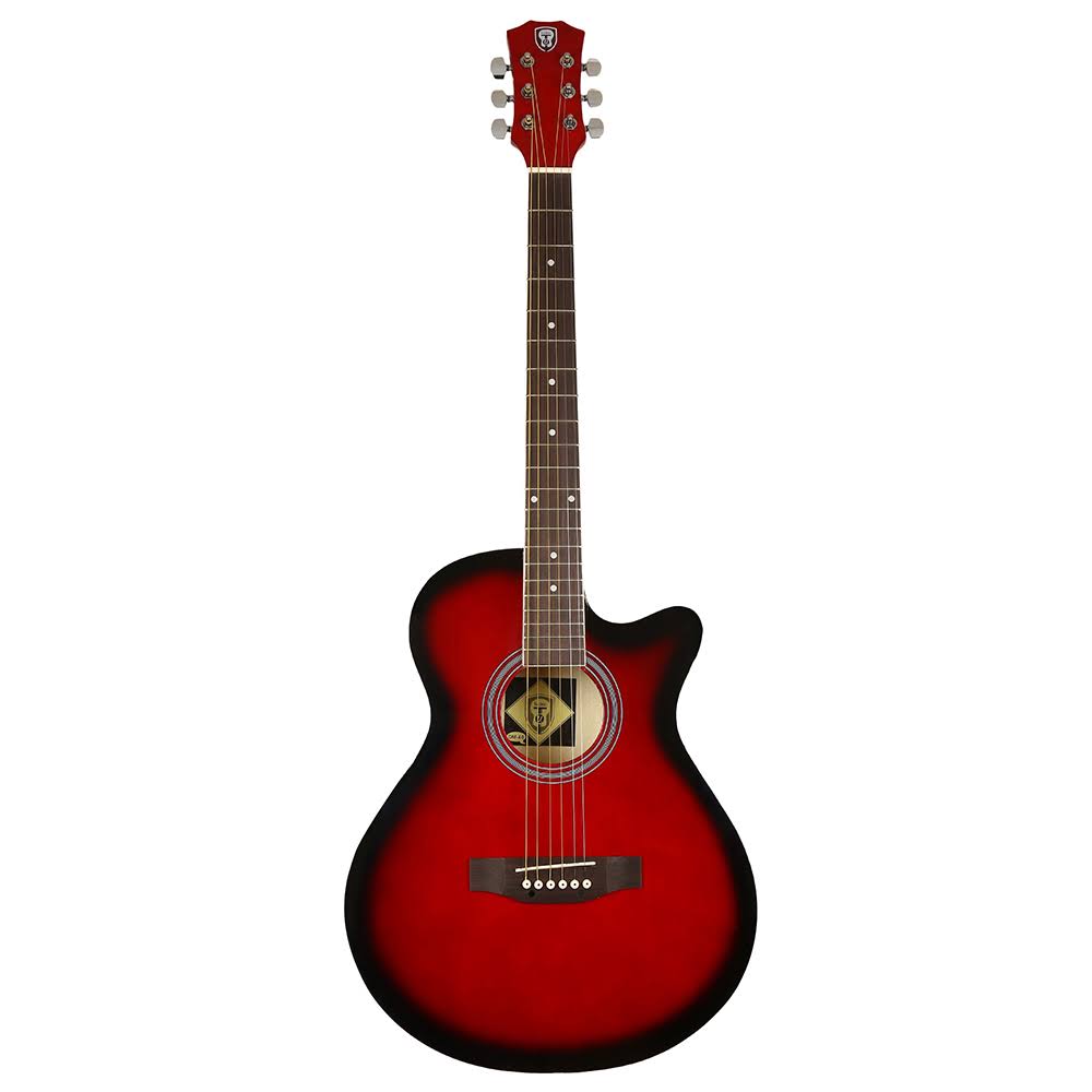 Techno TM-40 P Matt Acoustic Guitar product image