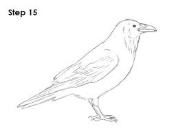 Pin On Freehand Sketching