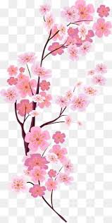 Vector Painted Pink Cherry Blossoms Bunga Sakura Kertas Dinding Bunga