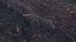 Devon and cornwall police were alerted after the device was discovered on a building site on private land to the west of the university of exeter. Wbrocdlvtny18m