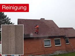 Dachbeschichtung Die Kostengunstige Alternative Zur Neueindeckung Adams Bautenschutz