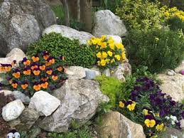 20 Inspiralo Sziklakert Sikteruletre Is Balkonada Plants Flowers Outdoor