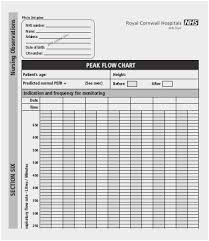 Omron Pf9940 Peak Flow Meter Chart For Peak Flow Meter