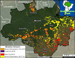 Jun 11, 2021 · firms, part of lance, distributes nrt active fire data within 3 hours of satellite observation from both modis and viirs. Maap 113 Satellites Reveal What Fueled Brazilian Amazon Fires Maap