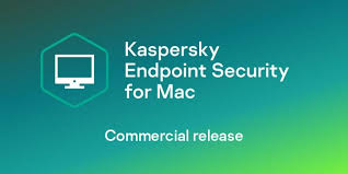 Kaspersky Endpoint Security 11 1 0 For Mac Version 11 1 0 210 Macos 11 0 Big Sur Kes11mac Antivirus France Eur Net