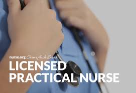 licensed practical nurse guide nurse org