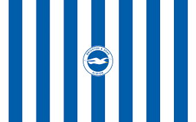 We hope you enjoy our growing collection of hd images to use as a. Brighton And Hove Albion Wallpaper Hd 2560x1600 Wallpaper Teahub Io