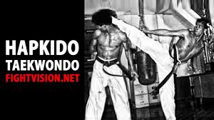 Hapkido Fight Vision