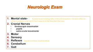 Child Neurologic Examination Ppt Download