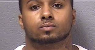 Police: Thief stole New Lenox residents' credit cards, made purchases