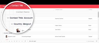 Ready To Use Grid Ui For Angularjs Applications