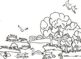 Desert flowering plants coloring page. Color The Freshwater Habitat Worksheet Education Com Coloring Pages