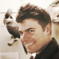 100+ "Nove" profiles