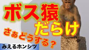 猿山・ボスザル』の本質 - YouTube