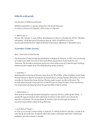 Image result for Millettia psilopetala