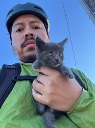 Anyone missing a kitty? Found