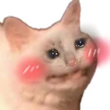 Hevc (main) aac (lc) video resolution: Crying Cat 1080x1080 Crying Cat Face Explore Tumblr Posts And Blogs Tumgir Ugly Crying Cat Coughing Cat Meme 1080x1080 Crying Fat Cat Crying Cat Meme Butter Crying Cat Meme Fbi