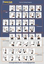 Poster Vibration Plate Exercises