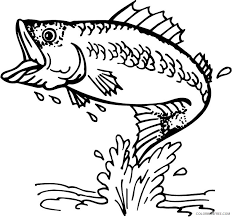 Teach about the different breeds of fish and their unique. Bass Fish Coloring Pages Bass Fish Images Pictures Printable Coloring4free Coloring4free Com