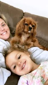 Cavalier king charles spaniel puppy photos