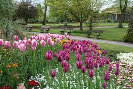 Valley Gardens Harrogate Parks And Open Spaces Tuin