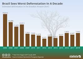 chart brazil sees worst deforestation in a decade statista