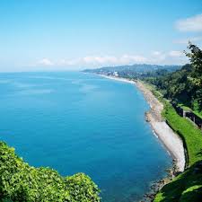 Botanic Garden Of Batumi Georgia En Airgeo Org