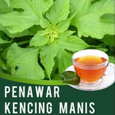 Penelitian di chicago, usa menunjukan, laki laki yang didiagnosa kencing manis akan mengalami penurunan minat. Hot Sale Herbal Drink Diabetes Minuman Herba Insulin Herba Teh Daun Insulin Rawatan Kencing Manis Ubat Diabetes Herbs Shopee Malaysia