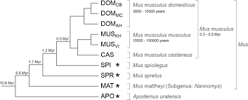 Maybe you would like to learn more about one of these? Fast Turnover Of Genome Transcription Across Evolutionary Time Exposes Entire Non Coding Dna To De Novo Gene Emergence Elife