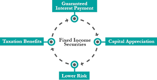 The Fixed Income Investment- Instrument, Selection & Strategy - India