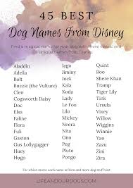 Disney movies provide inspiration for all young lives, so why not when choosing a name for your new dog? 45 Disney Inspired Dog Names Life And Our Dogs Dog Names Dog Mom Humor Dog Mom Gifts