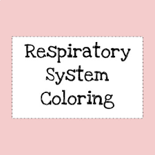 Printable coloring and activity pages are one way to keep the kids happy (or at least occupie. Respiratory System Coloring Worksheets Teaching Resources Tpt