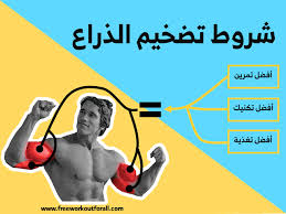تمارين الباي والتراي بالصور Arm Workout Super Sets Workout