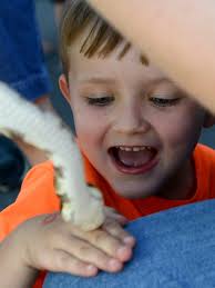 Day of Action draws hundreds downtown to play outside