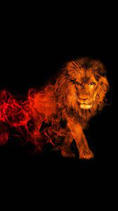 The presence of this a common meaning for the lion spirit animal is predatory feelings, such as anger, aggression directed. Wallpaper Black Lion With Red Eyes