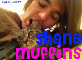 August Stcin (@StcinAugust)