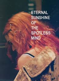 Eternal Sunshine Eternal Sunshine Of The Spotless Mind Eternal Sunshine Movies